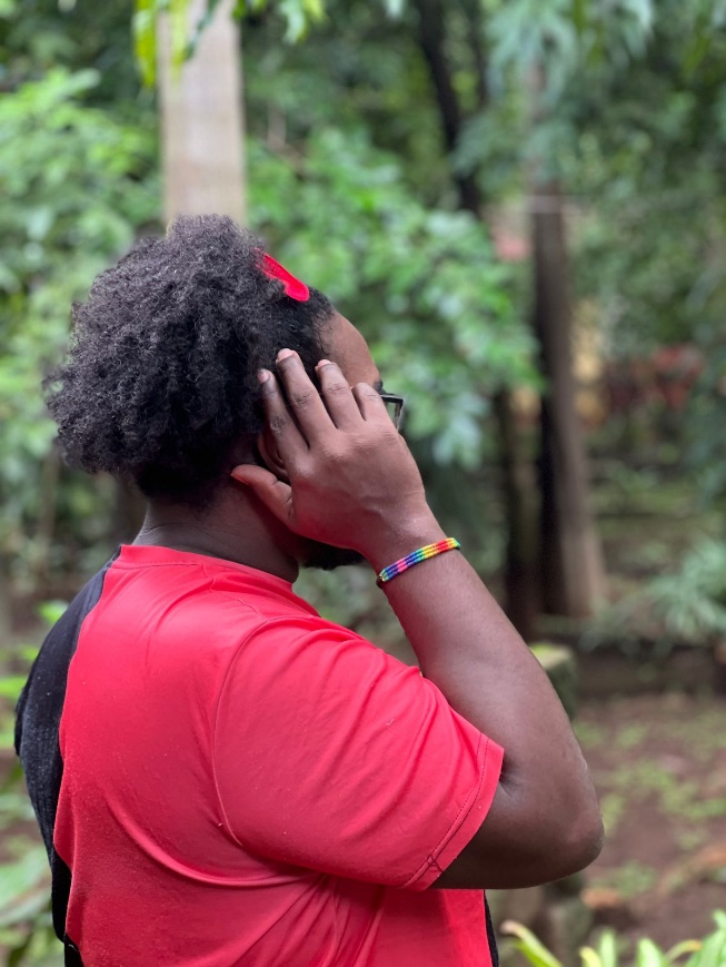 Imágen de referencia 